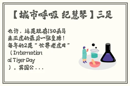 国产精品国产精品